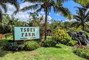 La meilleure journée de North Shore ! Rivière, tortues, ferme avec déjeuner