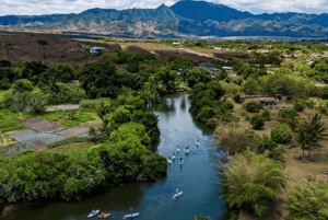 La meilleure journée de North Shore ! Rivière, tortues, ferme avec déjeuner
