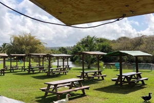 La meilleure journée de North Shore ! Rivière, tortues, ferme avec déjeuner