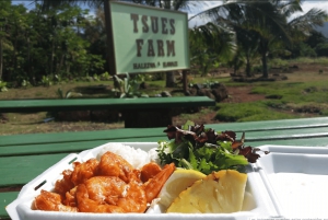 La meilleure journée de North Shore ! Rivière, tortues, ferme avec déjeuner