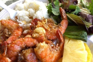 La meilleure journée de North Shore ! Rivière, tortues, ferme avec déjeuner