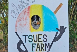 La meilleure journée de North Shore ! Rivière, tortues, ferme avec déjeuner