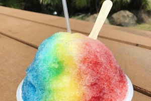 La meilleure journée de North Shore ! Rivière, tortues, ferme avec déjeuner