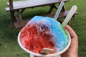 La meilleure journée de North Shore ! Rivière, tortues, ferme avec déjeuner