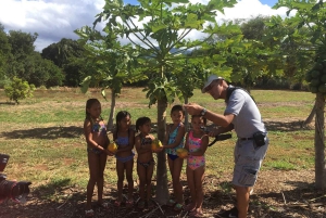 La meilleure journée de North Shore ! Rivière, tortues, ferme avec déjeuner