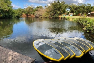 La meilleure journée de North Shore ! Rivière, tortues, ferme avec déjeuner