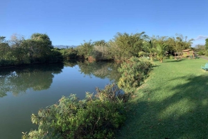 La meilleure journée de North Shore ! Rivière, tortues, ferme avec déjeuner