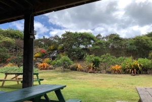 La meilleure journée de North Shore ! Rivière, tortues, ferme avec déjeuner