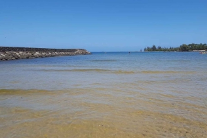 La meilleure journée de North Shore ! Rivière, tortues, ferme avec déjeuner