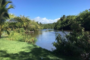 La meilleure journée de North Shore ! Rivière, tortues, ferme avec déjeuner