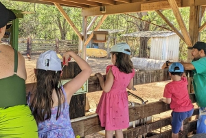 La meilleure journée de North Shore ! Rivière, tortues, ferme avec déjeuner