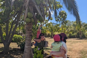 La meilleure journée de North Shore ! Rivière, tortues, ferme avec déjeuner