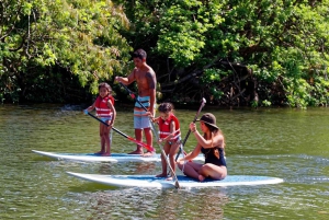 La meilleure journée de North Shore ! Rivière, tortues, ferme avec déjeuner