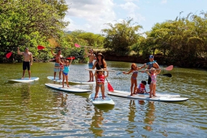 La meilleure journée de North Shore ! Rivière, tortues, ferme avec déjeuner
