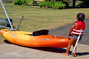 La meilleure journée de North Shore ! Rivière, tortues, ferme avec déjeuner
