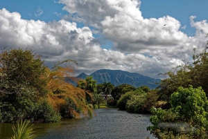 La meilleure journée de North Shore ! Rivière, tortues, ferme avec déjeuner