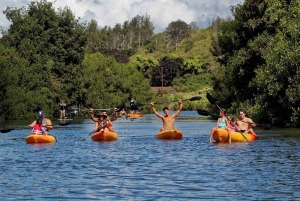 La meilleure journée de North Shore ! Rivière, tortues, ferme avec déjeuner