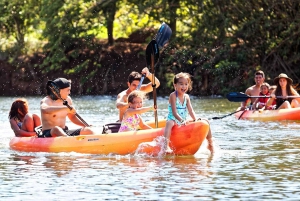 La meilleure journée de North Shore ! Rivière, tortues, ferme avec déjeuner