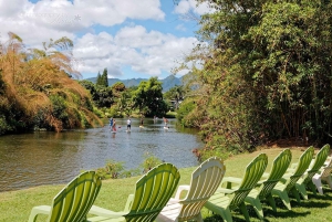 La meilleure journée de North Shore ! Rivière, tortues, ferme avec déjeuner