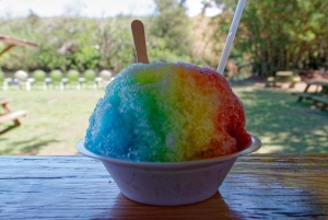 La meilleure journée de North Shore ! Rivière, tortues, ferme avec déjeuner