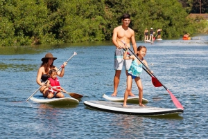 La meilleure journée de North Shore ! Rivière, tortues, ferme avec déjeuner