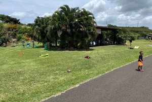 La meilleure journée de North Shore ! Rivière, tortues, ferme avec déjeuner