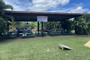 La meilleure journée de North Shore ! Rivière, tortues, ferme avec déjeuner