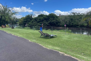 La meilleure journée de North Shore ! Rivière, tortues, ferme avec déjeuner
