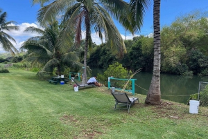 La meilleure journée de North Shore ! Rivière, tortues, ferme avec déjeuner