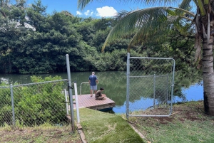 La meilleure journée de North Shore ! Rivière, tortues, ferme avec déjeuner