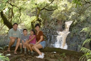 Northshore Maui: Guided Rainforest and Waterfall Walk