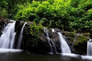Northshore Maui: Guided Rainforest and Waterfall Walk