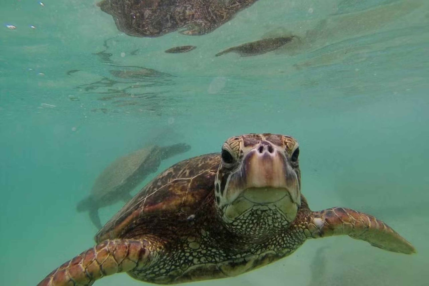 O'ahu: Skreddersydd privat øytur til O'ahu