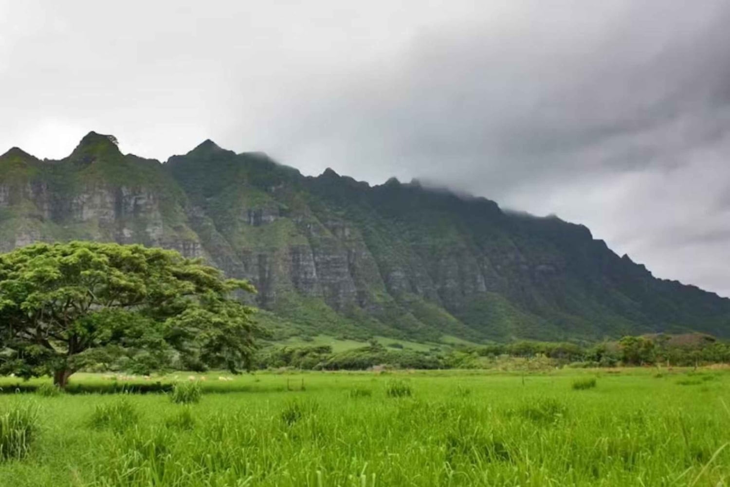 O'ahu: Skreddersydd privat øytur til O'ahu