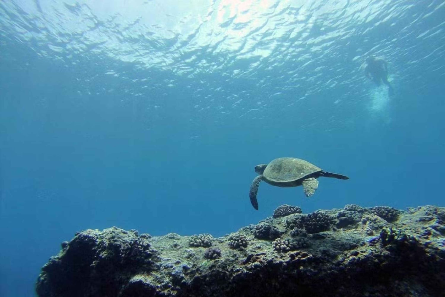 O'ahu: Skreddersydd privat øytur til O'ahu