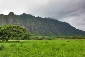 O'ahu : Visite privée personnalisée de l'île d'O'ahu