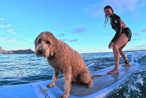 Oahu: 1-on-1 Surfing Lesson in Waikiki