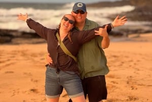 Oahu: 10-Hour Sunrise & Island Tour — Perfect First Day