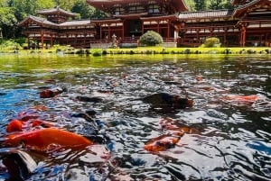 Oahu : circuit de 10 heures au lever du soleil et tour de l'île — Une première journée parfaite