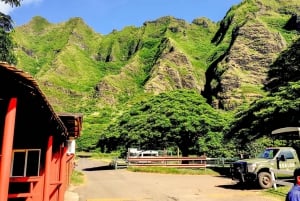 Oahu: 120-Mile Full-Day Circle Island Tour