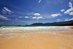 Oahu: 16-punkts guidet rundtur med snorkling og Dole
