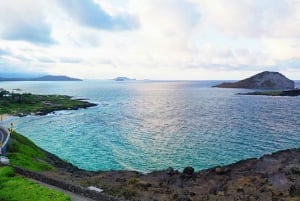 Oahu: 16-kohtainen opastettu ympyräkierros, jossa on snorklausta ja Dolea