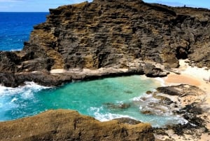 Oahu: 16-punts begeleide cirkeltour met snorkelen en Dole