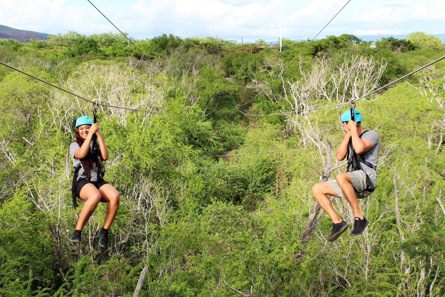 Oahu: 3 zipline-laskua ja all inclusive -delfiinien katselu- ja snorkkeliristeily