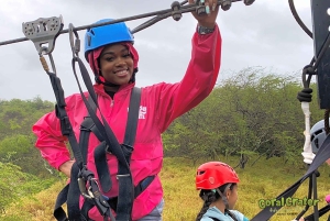Oahu: 3 zipline-laskua ja all inclusive -delfiinien katselu- ja snorkkeliristeily