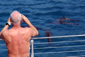 Oahu: 3 zipline-laskua ja all inclusive -delfiinien katselu- ja snorkkeliristeily