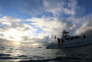 Oahu: 3 zipline-laskua ja all inclusive -delfiinien katselu- ja snorkkeliristeily