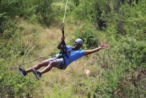Oahu: 3 Ziplines and Coral Crater Tour with Transfer