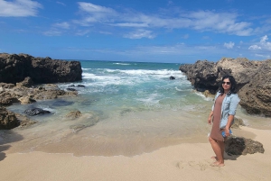 Oahu: 5 tunnin yksityinen auto ja kuljettaja – 1–4 henkilöä