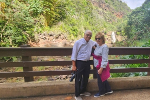 Oahu: 5 timers eksklusiv bil med chauffør – 1 til 4 personer